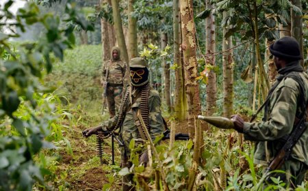 Alerte Rouge : La Militarisation des Frontières Force la Population à Abandonner ses Champs.
