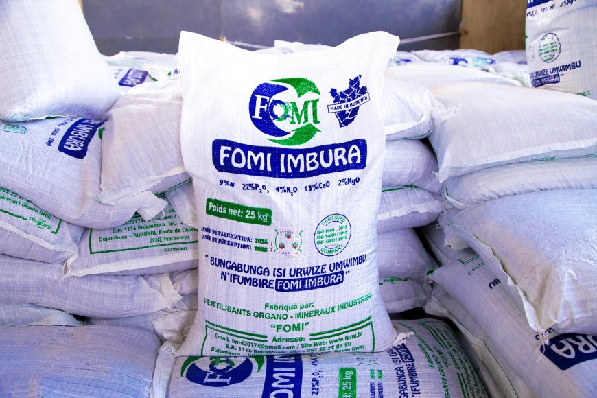 FOMI : des pratiques douteuses dénoncées