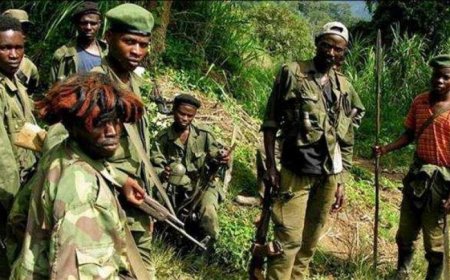 Ukurandurana n’imizi Interahamwe ziri mu mashamba ya Congo n’Uburundi: ingorane zikomeye ku butegetsi bwa Perezida Ndayishimiye.