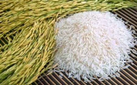 Burundi : Un Colonel de la Police révoqué pour vol de riz destiné aux troupes