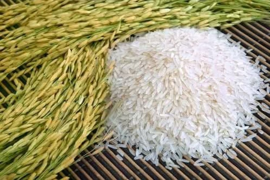 Burundi : Un Colonel de la Police révoqué pour vol de riz destiné aux troupes