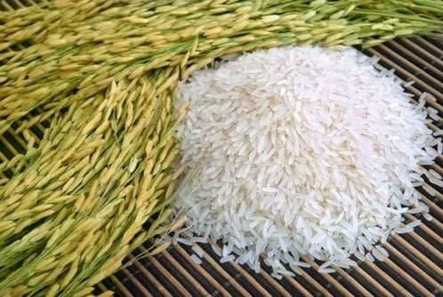 Burundi : Un Colonel de la Police révoqué pour vol de riz destiné aux troupes