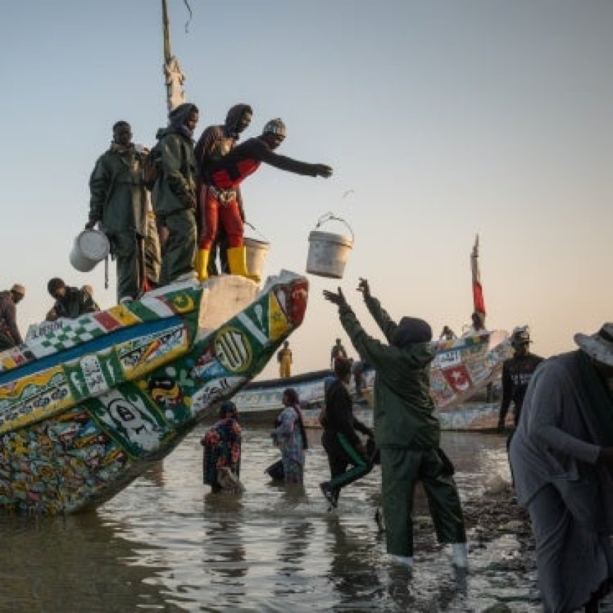 Inquiétudes sur la situation des Burundais arrêtés et détenus en Afrique du Sud